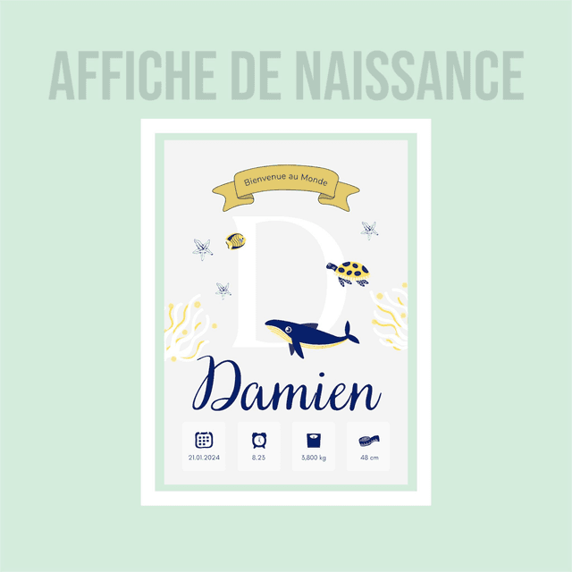 Affiche de Naissance